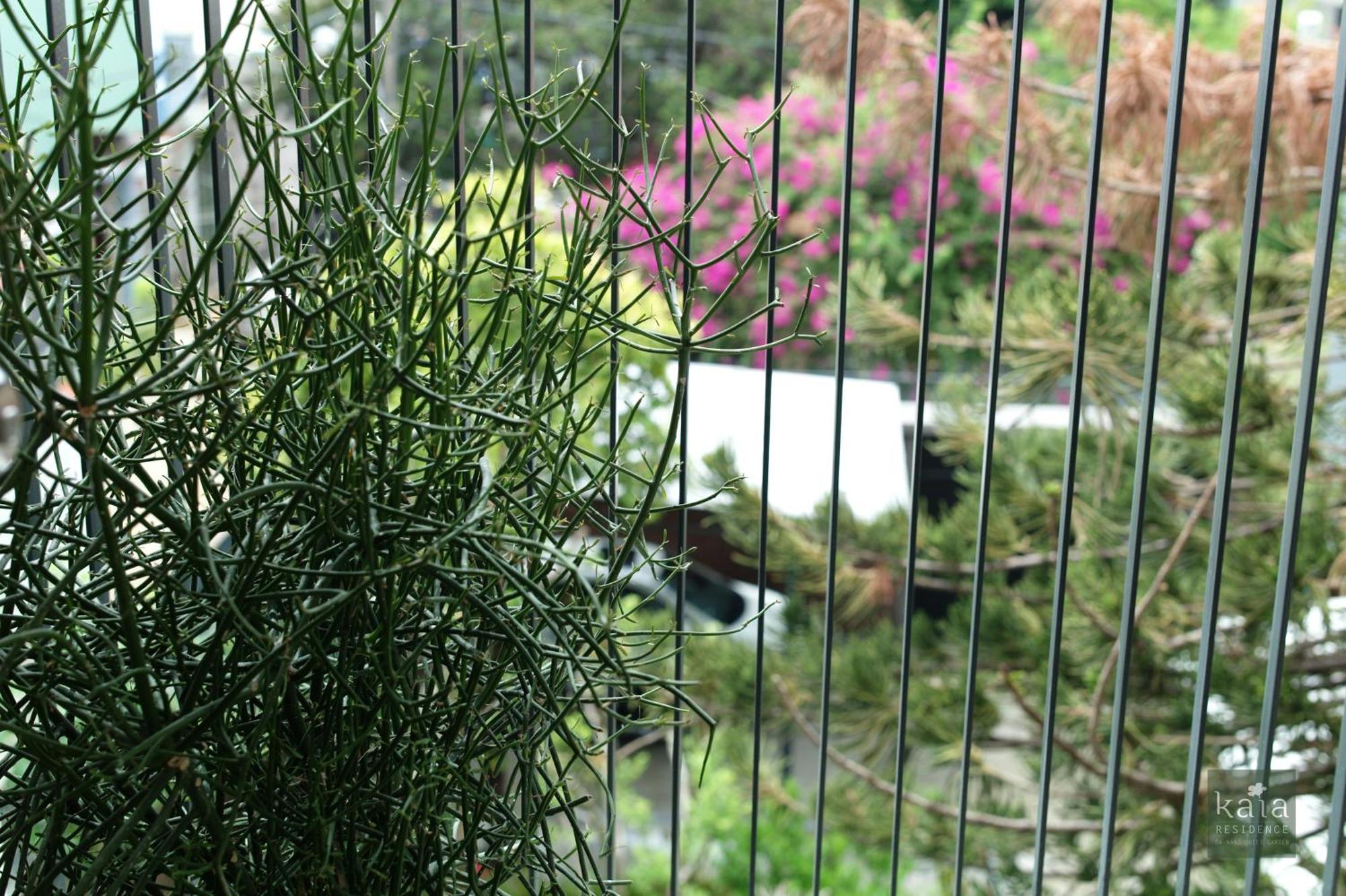 Kaia Residence Danang Quiet Garden Rum bild